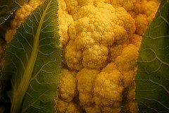 Coliflor en salsa de queso